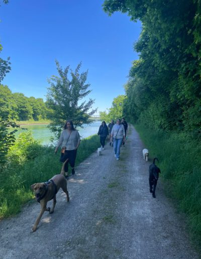 Social Walk