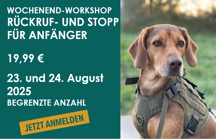Flyer rueckruf Rückruf und Stopp