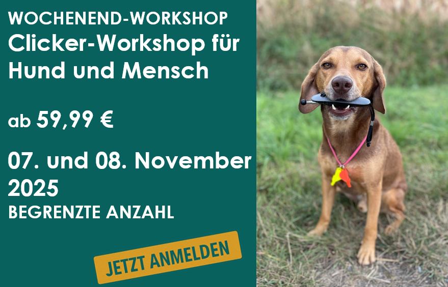 Clicker_Flyer1 Clicker-Workshop Flyer
