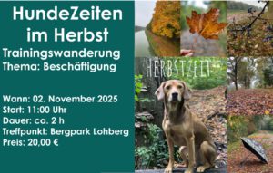 Wanderung Herbst